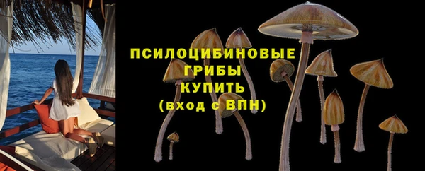 скорость Горняк